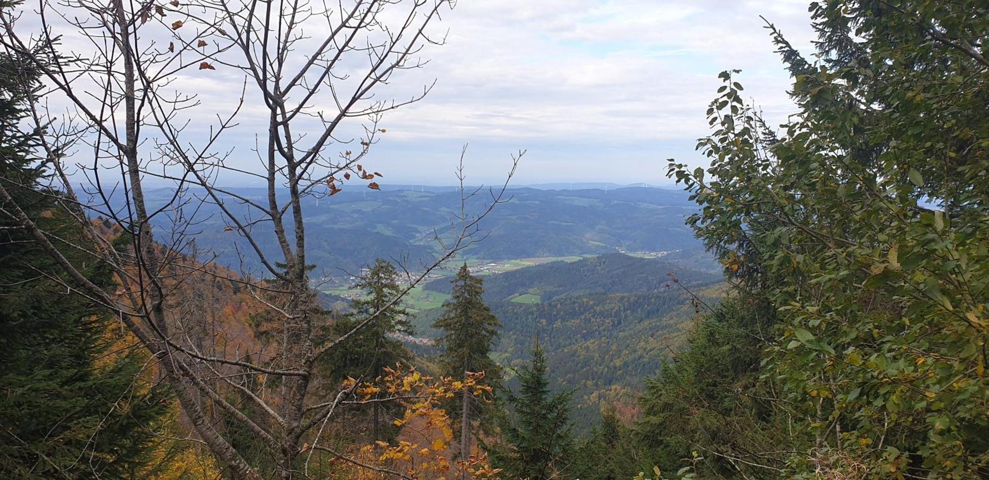 Ferienwohnung Herzlicht Titisee-Neustadt Luaran gambar