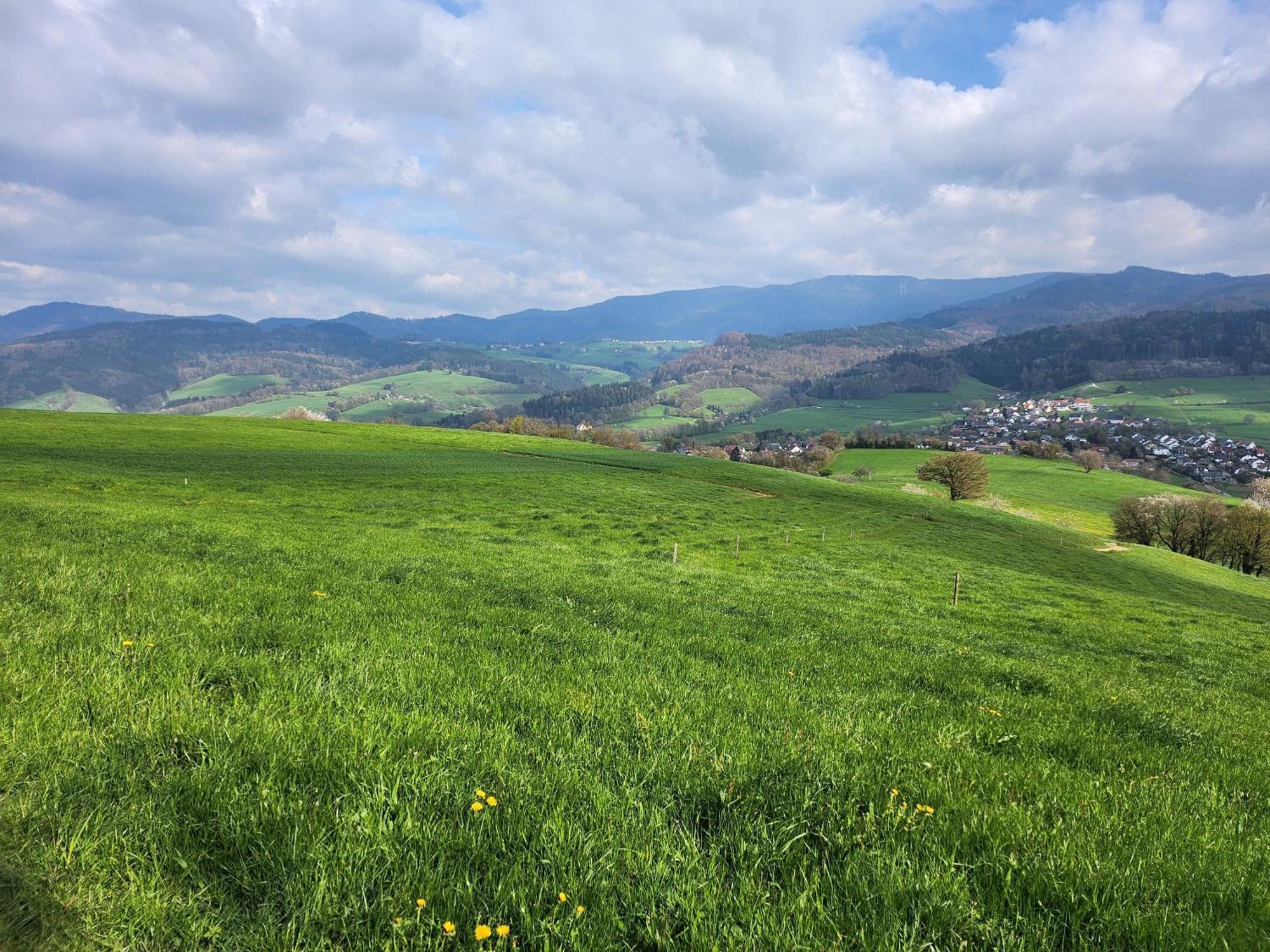Ferienwohnung Herzlicht Titisee-Neustadt Luaran gambar
