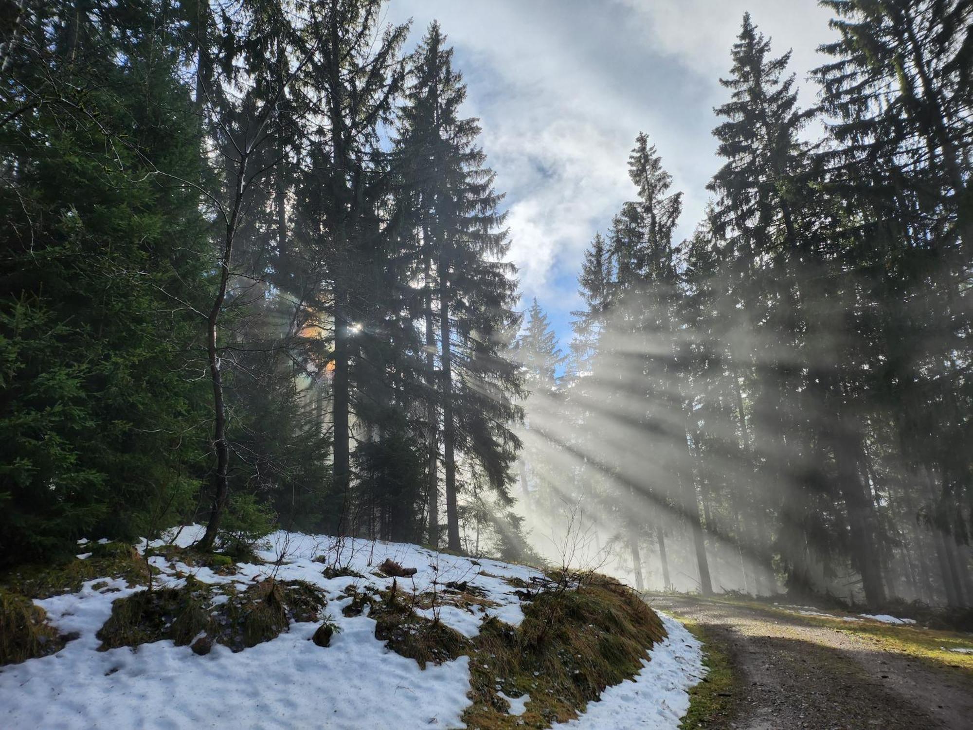Ferienwohnung Herzlicht Titisee-Neustadt Luaran gambar